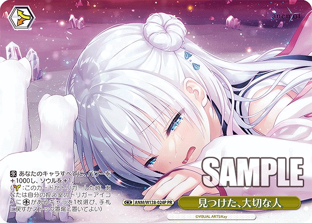 見つけた、大切な人 (PR) 【ANM/W138-024PR】